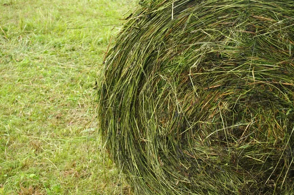 Hay stacks on the field — Stock Photo, Image