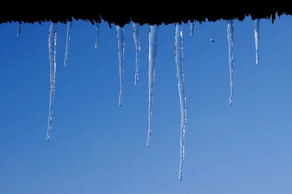 Descongelamento de icicles contra céus azuis — Fotografia de Stock