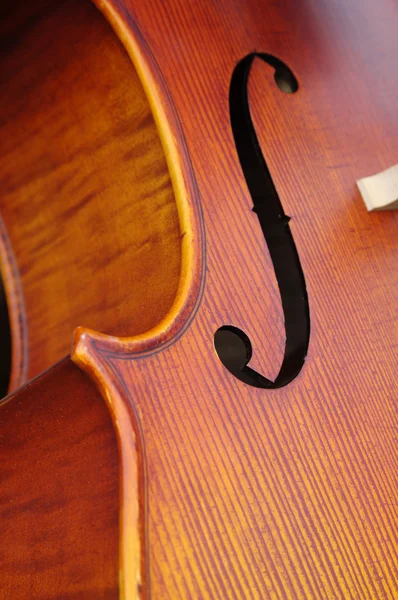 Primer plano del violonchelo — Foto de Stock