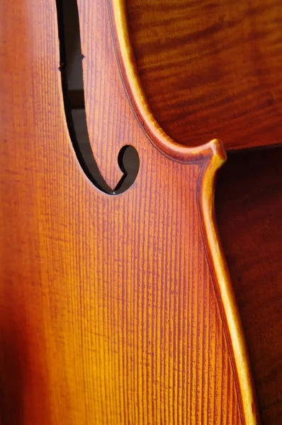 Violoncelo close-up — Fotografia de Stock