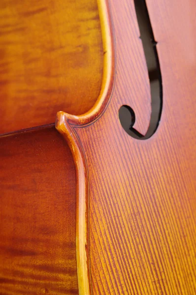 Close-up βιολοντσέλο — Φωτογραφία Αρχείου
