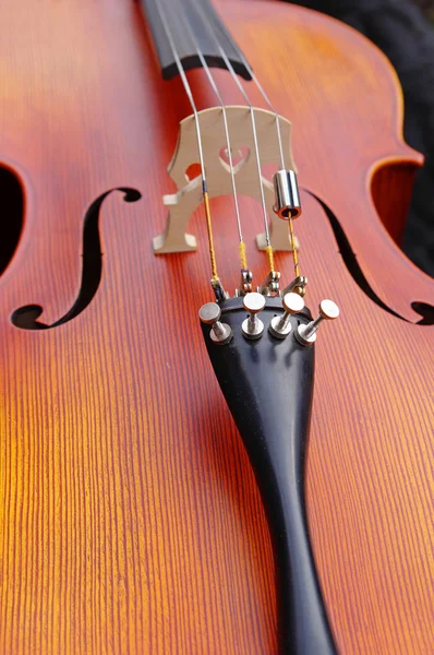 Κοντινό πλάνο ενός βιολοντσέλο — Φωτογραφία Αρχείου