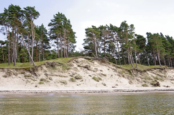 Coast of the Baltic sea — Stock Photo, Image