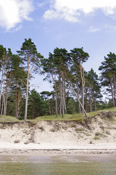 Coast of the Baltic sea — Stock Photo, Image