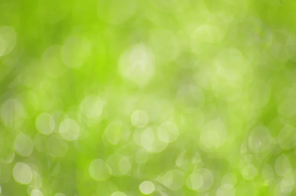 Abstract glowing light on a green background — Stock Photo, Image