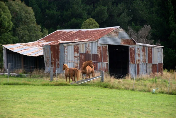 eski çiftlik döken ve atlar