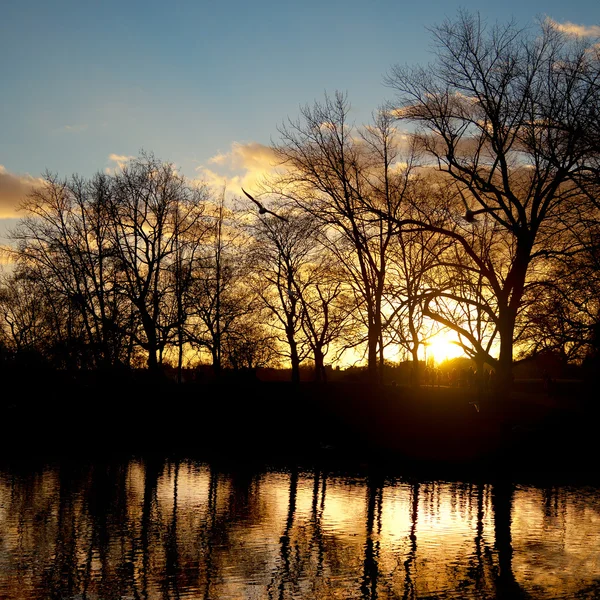 stock image Afternoon Winter Walk Sunset Silhouette Water Reflection with Copy Space