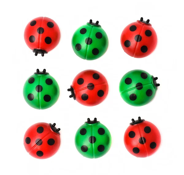 Group of ladybugs, isolated on white background — Stock Photo, Image