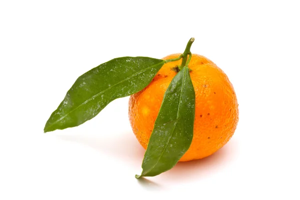Reife Mandarine auf weißem Hintergrund — Stockfoto
