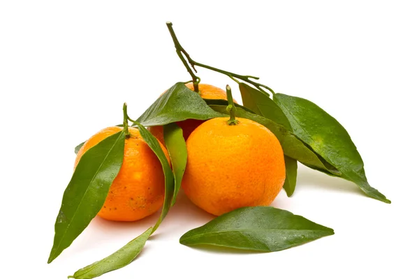 Ripe tangerines on white background — Stock Photo, Image