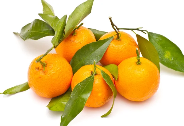 Ripe tangerines on white background — Stock Photo, Image