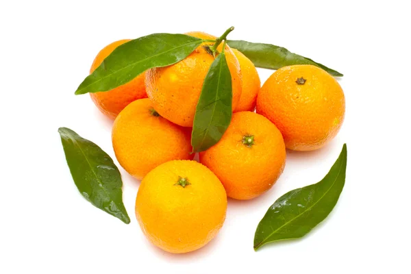 Reife Mandarinen auf weißem Hintergrund — Stockfoto