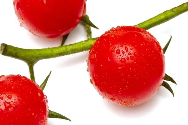 Beyaz arka planda olgun kiraz domatesleri — Stok fotoğraf
