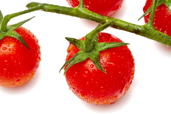 Zralé cherry rajčata na bílém pozadí — Stock fotografie