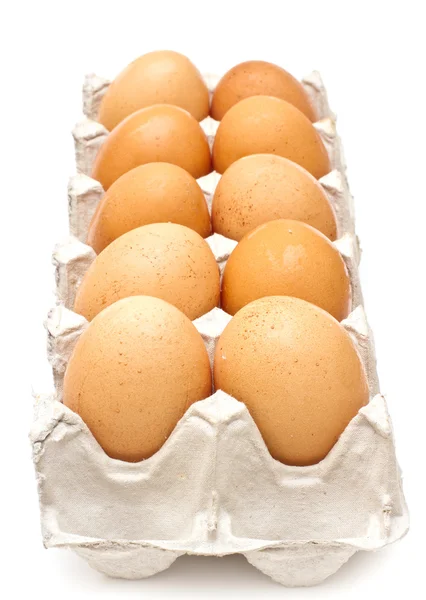 Stock image Brown eggs in a carton package on white background