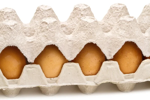Ovos castanhos numa embalagem de cartão sobre fundo branco — Fotografia de Stock