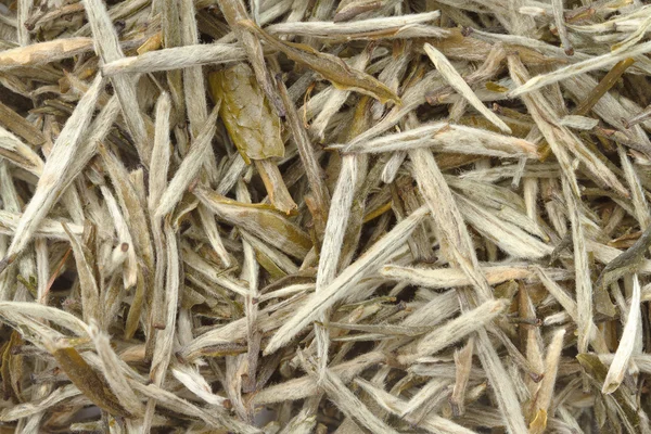 stock image Chinese white tea as background