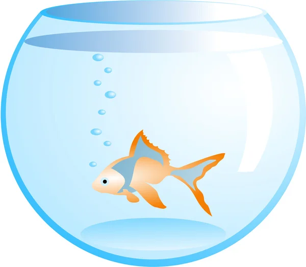 Помаранчева риба в акваріумі — стоковий вектор