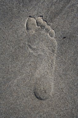 Footprint clipart