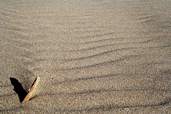 Antecedentes da Praia. Areia húmida — Fotografia de Stock