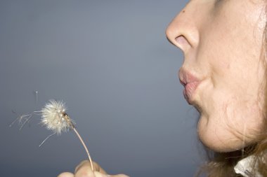 The girl going to to blow at a dandelion