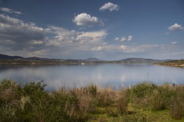 ağaçlar yansımaları