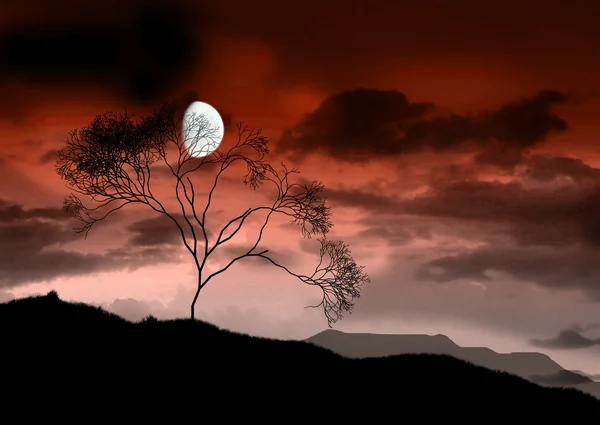 A lua brilhante cheia — Fotografia de Stock