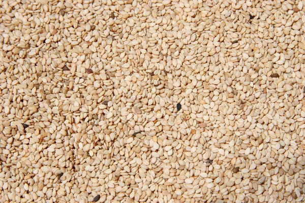 Raw Hulled Sesame Seeds — Stock Photo, Image