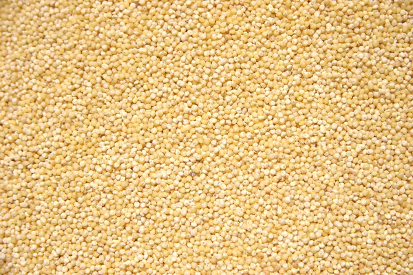 Hulled Pearl Millet Grain — Stock Photo, Image