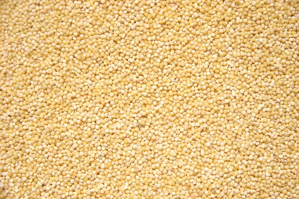 stock image Hulled Pearl Millet Grain