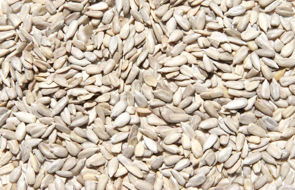 玄米の未加工ヒマワリの種 ストック画像