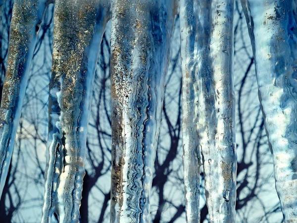 Ice frost — Stock Photo, Image