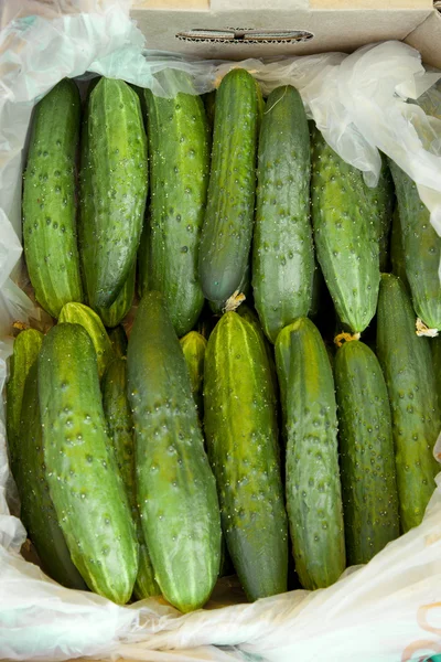 Cucumbers For Sale At Market Stock Photo