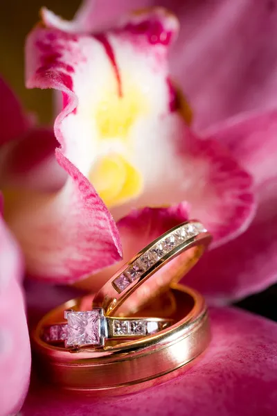 Obrączki ślubne, siedząc na piękny kwiat różowy — Zdjęcie stockowe