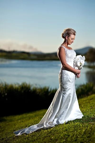Bride isoloated on green grass field — Stock Photo, Image