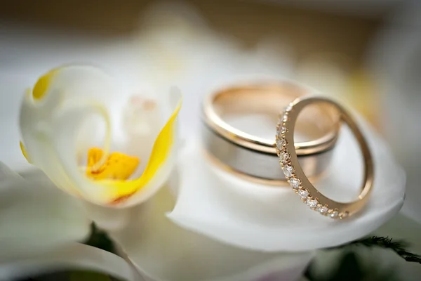 Wedding rings sitting on a white and yellow flower — Stock Photo, Image