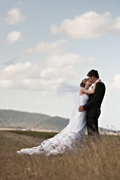 Жених и невеста целуются в поле — стоковое фото