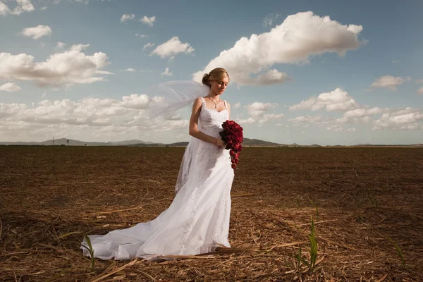 Noiva em um campo com céu azul e nuvens — Fotografia de Stock