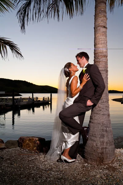 Newlyweds embracing under a palm tree at sunset — Stock Photo, Image