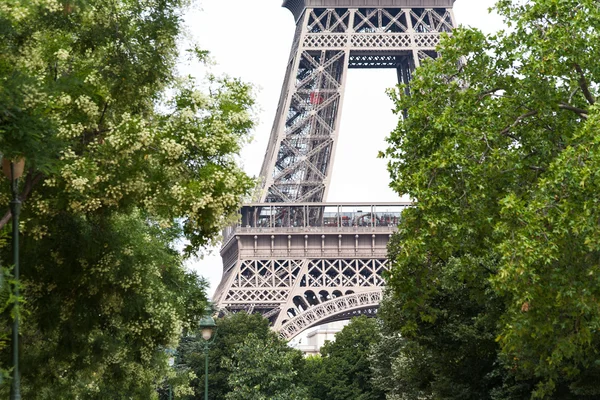 Eiffelturm durch grüne Bäume erblickt — Stockfoto