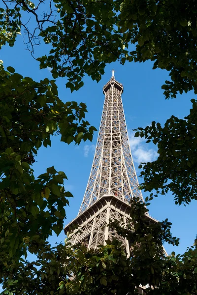 Blick auf den Eiffelturm durch Bäume — Stockfoto