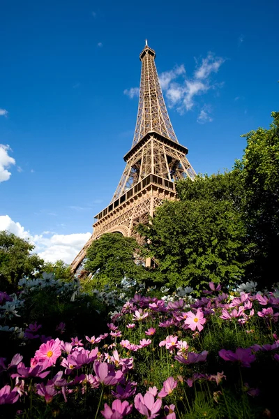 Eiffeltornet med rosa blommor i förgrunden — Stockfoto