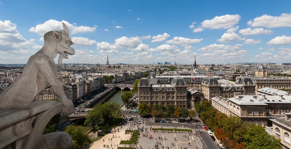 Classic chimera view of Paris from Notre Dame — Stock Photo, Image