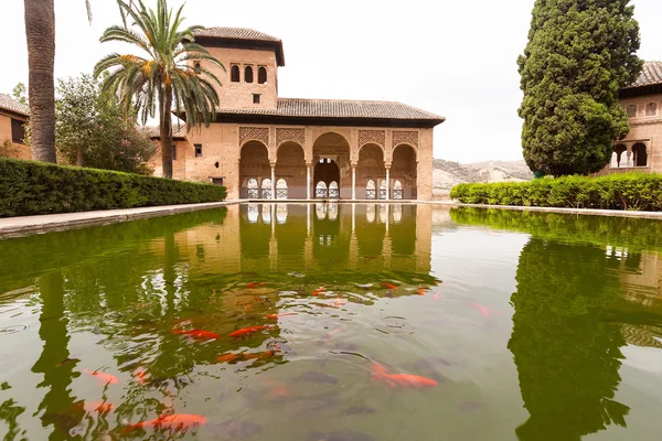 Rybník se zlatými rybičkami uvnitř paláce alhambra v Granadě — Stock fotografie