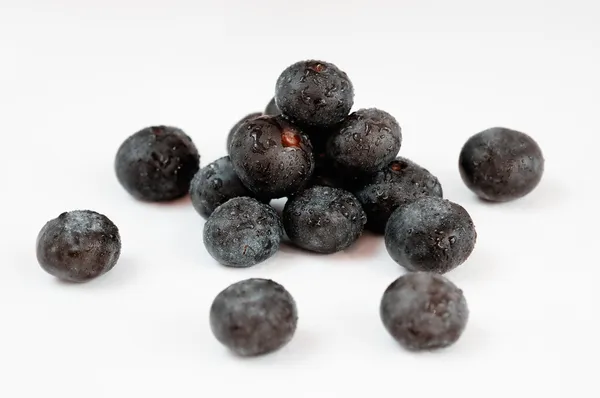 Acai Fruit Berries — Stock Photo, Image