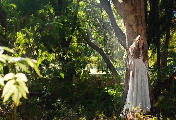 在森林里的童话新娘 — 图库照片