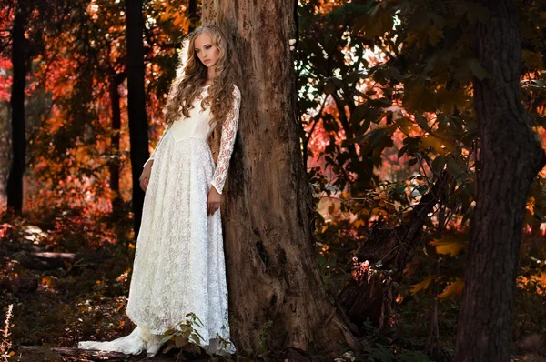 Tündéri menyasszony az erdőben Stock Fotó