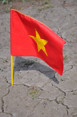 Vietnam Bayrağı.