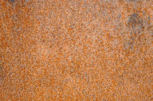 Rusty sheet of iron. — Stock Photo, Image