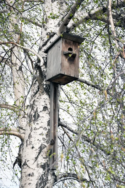 Dřevěná ptačí budka — Stock fotografie